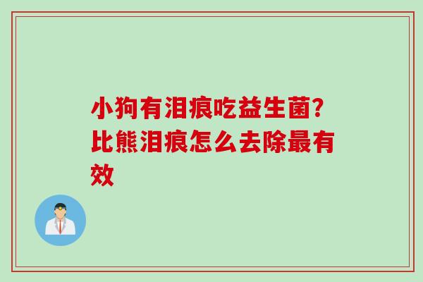 小狗有泪痕吃益生菌?比熊泪痕怎么去除有效 小狗有泪痕吃益生菌?比熊泪痕怎么去除有效