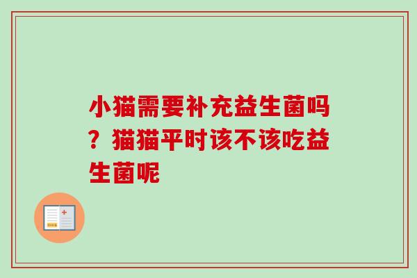 小猫需要补充益生菌吗？猫猫平时该不该吃益生菌呢