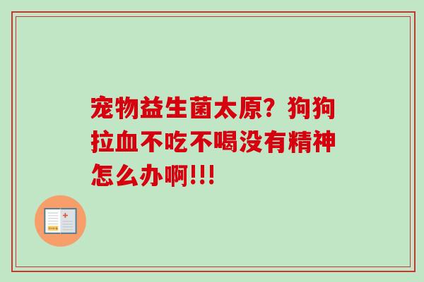 宠物益生菌太原？狗狗拉不吃不喝没有精神怎么办啊!!!
