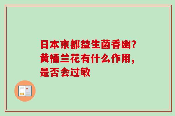日本京都益生菌香幽？黄桶兰花有什么作用,是否会