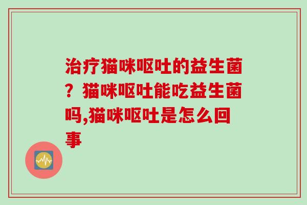 猫咪的益生菌？猫咪能吃益生菌吗,猫咪是怎么回事