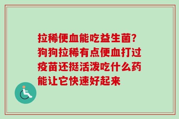 拉稀便能吃益生菌?狗狗拉稀有点便打过疫苗还挺活泼吃什么药能让它快速好起来 拉稀便能吃益生菌?狗狗拉稀有点便打过疫苗还挺活泼吃什么药能让它快速好起来