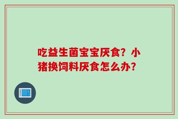 吃益生菌宝宝厌食？小猪换饲料厌食怎么办？
