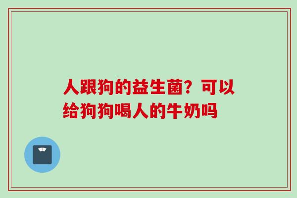 人跟狗的益生菌?可以给狗狗喝人的牛奶吗 人跟狗的益生菌?可以给狗狗喝人的牛奶吗