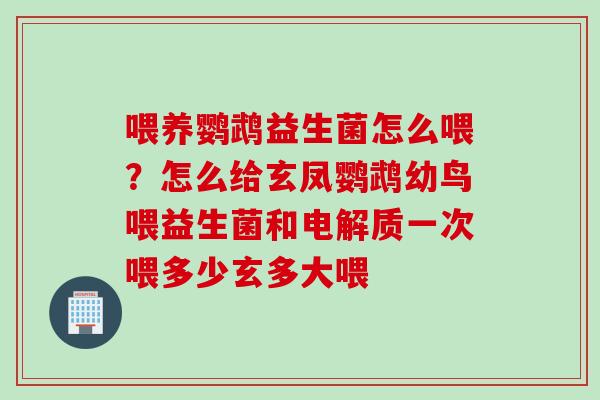 喂养鹦鹉益生菌怎么喂?怎么给玄凤鹦鹉幼鸟喂益生菌和电解质一次喂多少玄多大喂 喂养鹦鹉益生菌怎么喂?怎么给玄凤鹦鹉幼鸟喂益生菌和电解质一次喂多少玄多大喂