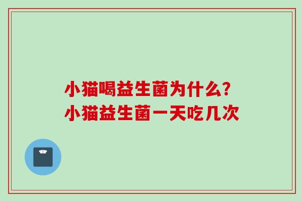 小猫喝益生菌为什么?小猫益生菌一天吃几次 小猫喝益生菌为什么?小猫益生菌一天吃几次
