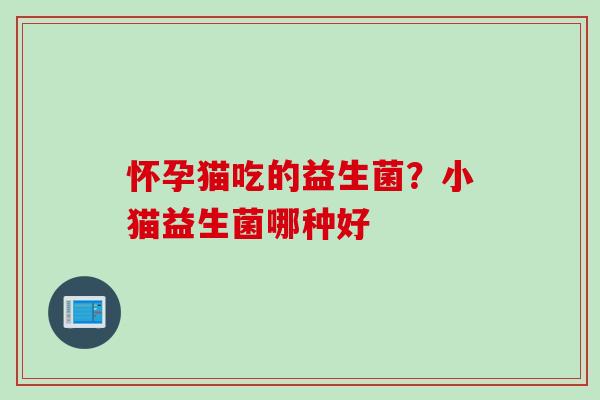 怀孕猫吃的益生菌？小猫益生菌哪种好