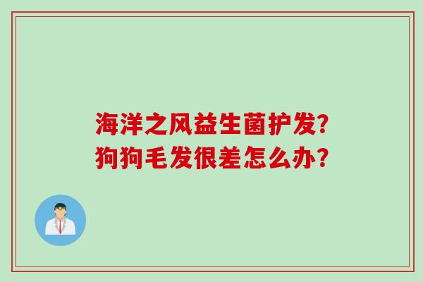 海洋之风益生菌护发?狗狗毛发很差怎么办? 海洋之风益生菌护发?狗狗毛发很差怎么办?