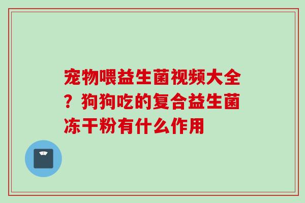 宠物喂益生菌视频大全？狗狗吃的复合益生菌冻干粉有什么作用