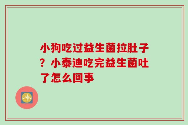小狗吃过益生菌拉肚子？小泰迪吃完益生菌吐了怎么回事