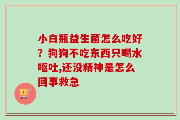 小白瓶益生菌怎么吃好？狗狗不吃东西只喝水,还没精神是怎么回事救急