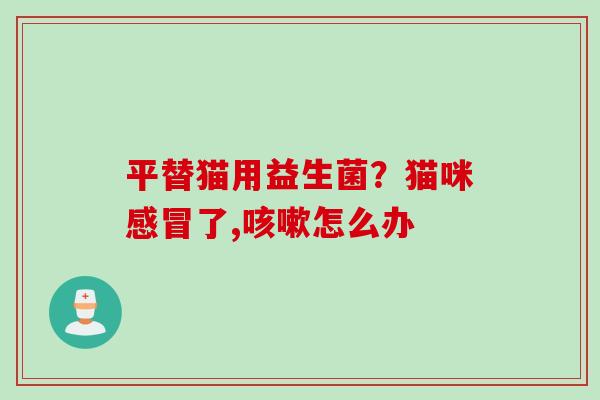 平替猫用益生菌?猫咪了,怎么办 平替猫用益生菌?猫咪了,怎么办