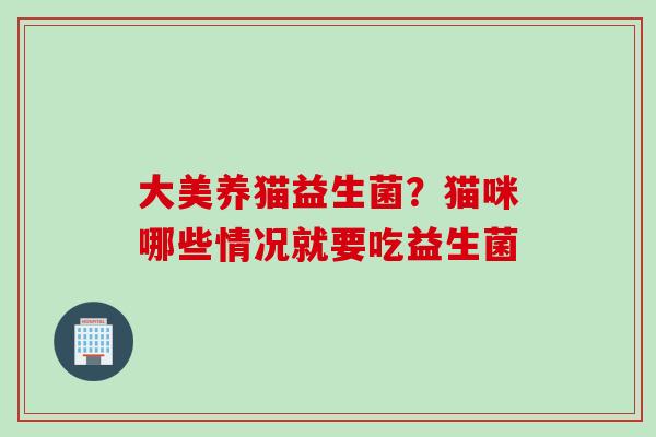 大美养猫益生菌？猫咪哪些情况就要吃益生菌