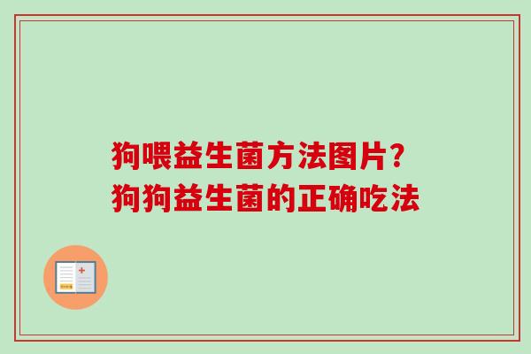 狗喂益生菌方法图片？狗狗益生菌的正确吃法