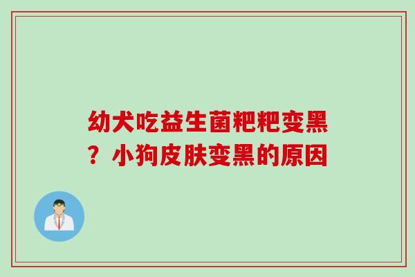 幼犬吃益生菌粑粑变黑?小狗变黑的原因 幼犬吃益生菌粑粑变黑?小狗变黑的原因