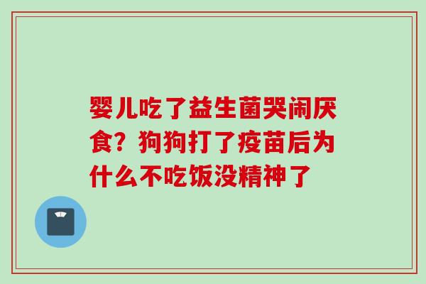 婴儿吃了益生菌哭闹厌食?狗狗打了疫苗后为什么不吃饭没精神了 婴儿吃了益生菌哭闹厌食?狗狗打了疫苗后为什么不吃饭没精神了