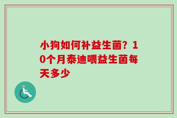 小狗如何补益生菌？10个月泰迪喂益生菌每天多少