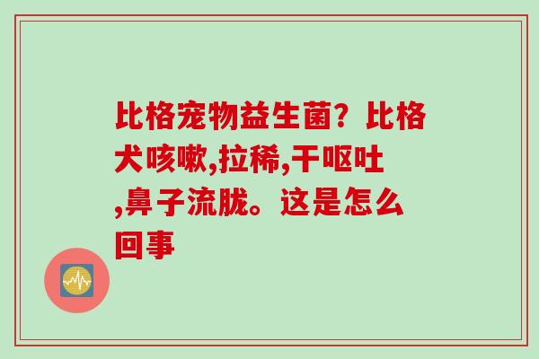 比格宠物益生菌?比格犬,拉稀,干,鼻子流胧。这是怎么回事 比格宠物益生菌?比格犬,拉稀,干,鼻子流胧。这是怎么回事