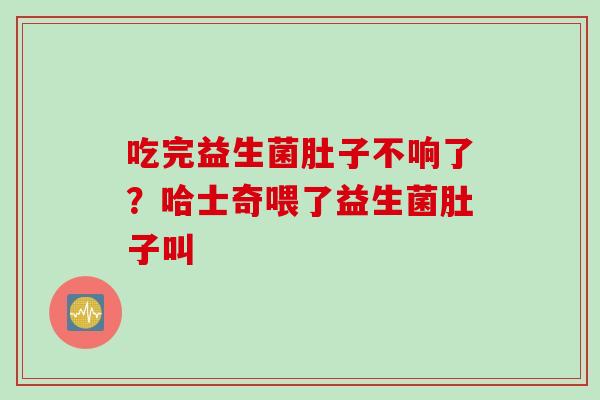 吃完益生菌肚子不响了?哈士奇喂了益生菌肚子叫 吃完益生菌肚子不响了?哈士奇喂了益生菌肚子叫