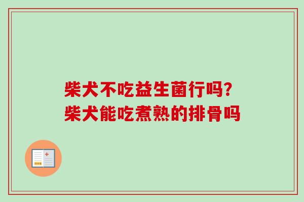 柴犬不吃益生菌行吗？柴犬能吃煮熟的排骨吗