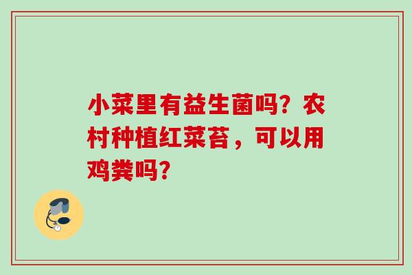 小菜里有益生菌吗？农村种植红菜苔，可以用鸡粪吗？