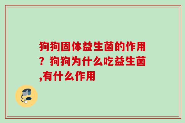 狗狗固体益生菌的作用?狗狗为什么吃益生菌,有什么作用 狗狗固体益生菌的作用?狗狗为什么吃益生菌,有什么作用