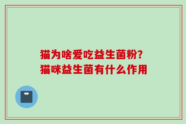 猫为啥爱吃益生菌粉?猫咪益生菌有什么作用 猫为啥爱吃益生菌粉?猫咪益生菌有什么作用