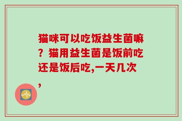 猫咪可以吃饭益生菌嘛?猫用益生菌是饭前吃还是饭后吃,一天几次, 猫咪可以吃饭益生菌嘛?猫用益生菌是饭前吃还是饭后吃,一天几次,