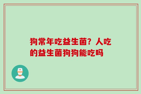 狗常年吃益生菌?人吃的益生菌狗狗能吃吗 狗常年吃益生菌?人吃的益生菌狗狗能吃吗