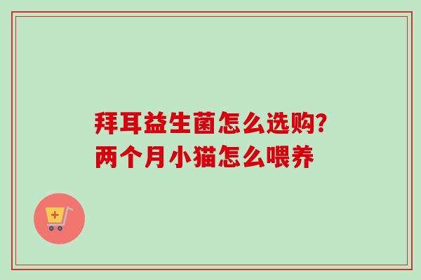 拜耳益生菌怎么选购?两个月小猫怎么喂养 拜耳益生菌怎么选购?两个月小猫怎么喂养