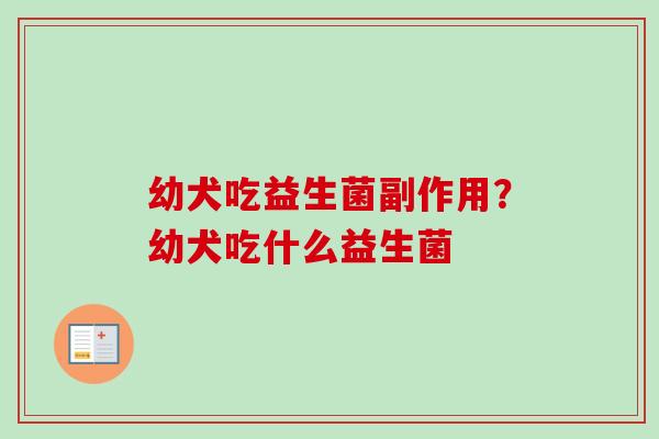 幼犬吃益生菌副作用？幼犬吃什么益生菌