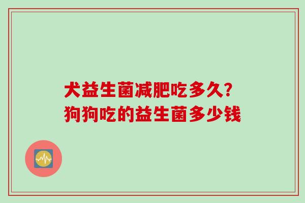 犬益生菌吃多久?狗狗吃的益生菌多少钱 犬益生菌吃多久?狗狗吃的益生菌多少钱