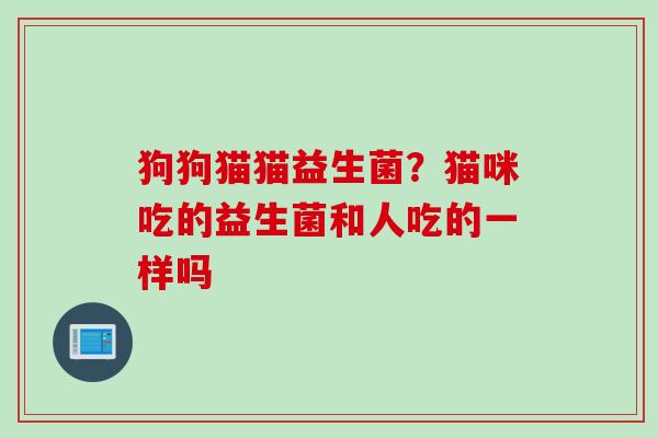 狗狗猫猫益生菌？猫咪吃的益生菌和人吃的一样吗