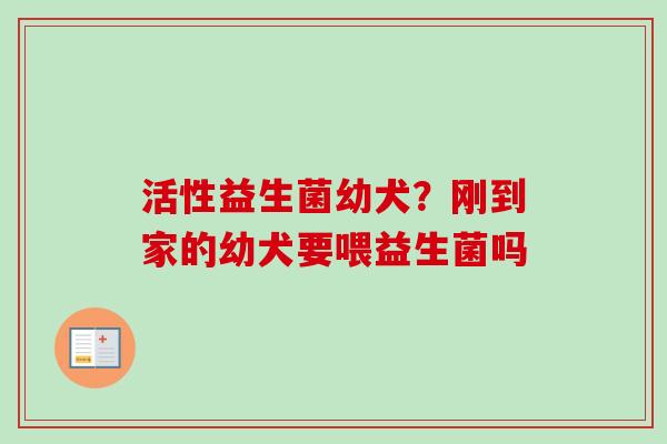 活性益生菌幼犬？刚到家的幼犬要喂益生菌吗