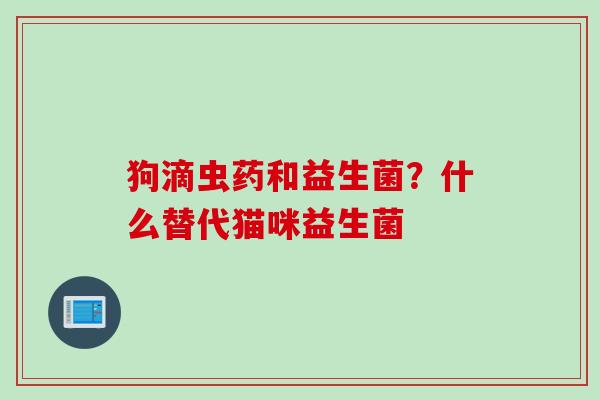 狗滴虫药和益生菌?什么替代猫咪益生菌 狗滴虫药和益生菌?什么替代猫咪益生菌