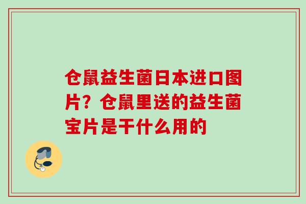 仓鼠益生菌日本进口图片?仓鼠里送的益生菌宝片是干什么用的 仓鼠益生菌日本进口图片?仓鼠里送的益生菌宝片是干什么用的