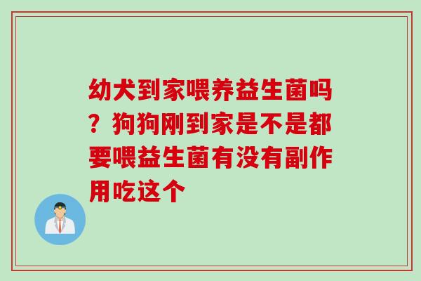 幼犬到家喂养益生菌吗?狗狗刚到家是不是都要喂益生菌有没有副作用吃这个 幼犬到家喂养益生菌吗?狗狗刚到家是不是都要喂益生菌有没有副作用吃这个