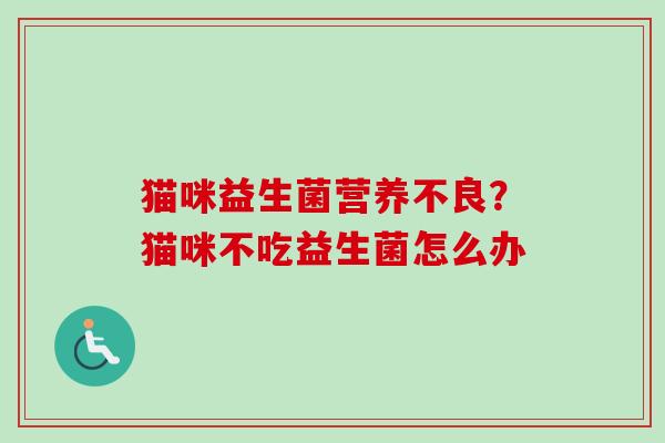 猫咪益生菌营养不良？猫咪不吃益生菌怎么办