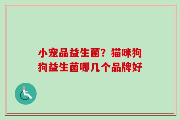 小宠品益生菌？猫咪狗狗益生菌哪几个品牌好