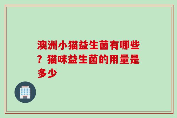 澳洲小猫益生菌有哪些？猫咪益生菌的用量是多少