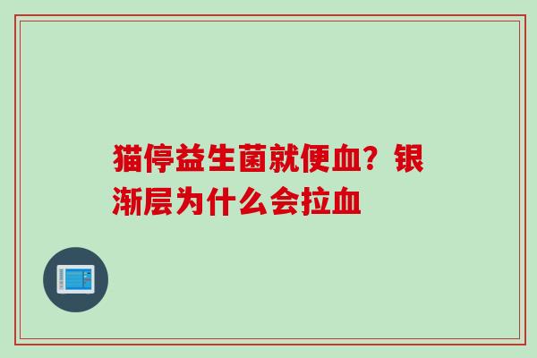 猫停益生菌就便？银渐层为什么会拉