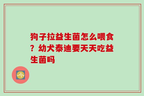 狗子拉益生菌怎么喂食?幼犬泰迪要天天吃益生菌吗 狗子拉益生菌怎么喂食?幼犬泰迪要天天吃益生菌吗