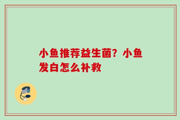 小鱼推荐益生菌?小鱼发白怎么补救 小鱼推荐益生菌?小鱼发白怎么补救