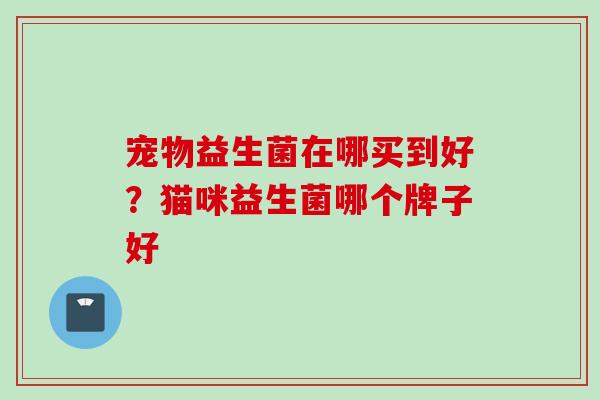 宠物益生菌在哪买到好？猫咪益生菌哪个牌子好
