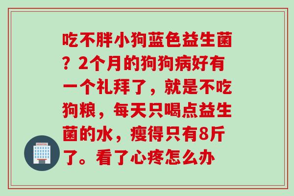 吃不胖小狗蓝色益生菌？2个月的狗狗好有一个礼拜了，就是不吃狗粮，每天只喝点益生菌的水，瘦得只有8斤了。看了心疼怎么办