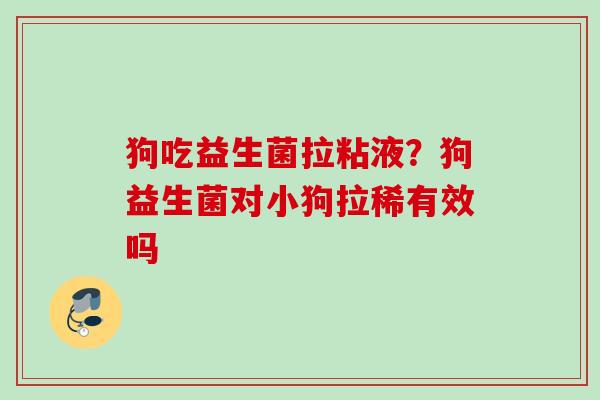狗吃益生菌拉粘液?狗益生菌对小狗拉稀有效吗 狗吃益生菌拉粘液?狗益生菌对小狗拉稀有效吗