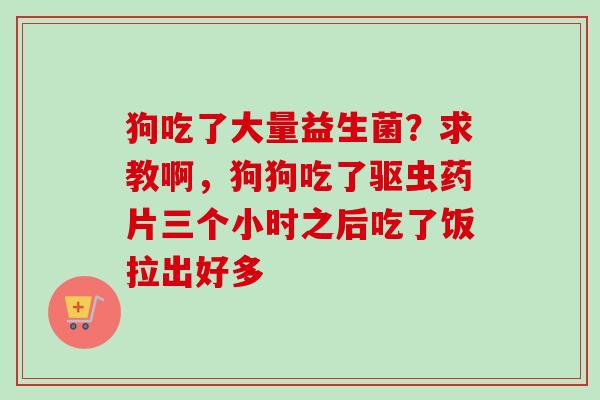 狗吃了大量益生菌?求教啊,狗狗吃了驱虫药片三个小时之后吃了饭拉出好多 狗吃了大量益生菌?求教啊,狗狗吃了驱虫药片三个小时之后吃了饭拉出好多
