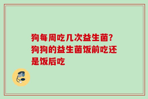 狗每周吃几次益生菌?狗狗的益生菌饭前吃还是饭后吃 狗每周吃几次益生菌?狗狗的益生菌饭前吃还是饭后吃
