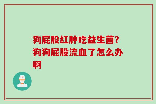 狗屁股红肿吃益生菌?狗狗屁股流了怎么办啊 狗屁股红肿吃益生菌?狗狗屁股流了怎么办啊