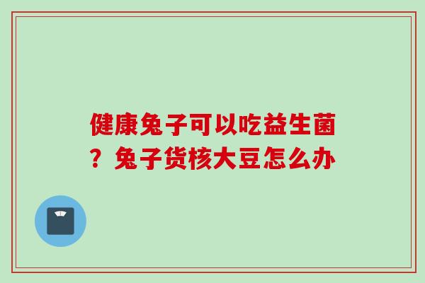 健康兔子可以吃益生菌？兔子货核大豆怎么办
